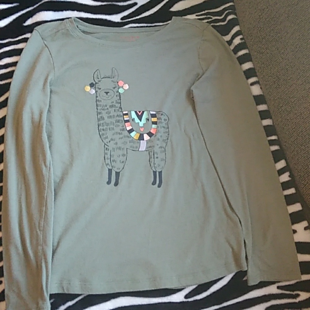 Cat and Jack large girls t-shirt long sleeve